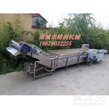 【連續式蔬菜清洗設備,油茶籽清洗機價格實惠】- 