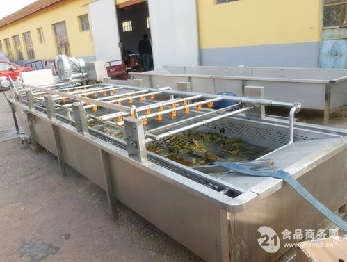hb多功能海帶清洗機 商用去雜去殘清洗機 大型清洗設備價格,產品報價